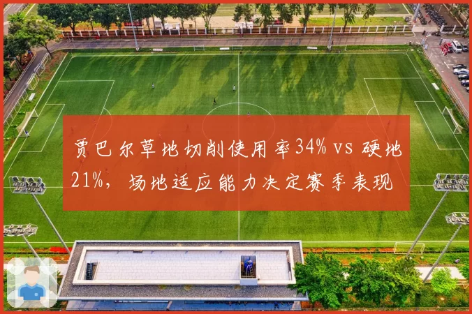 贾巴尔草地切削使用率34% vs 硬地21%，场地适应能力决定赛季表现