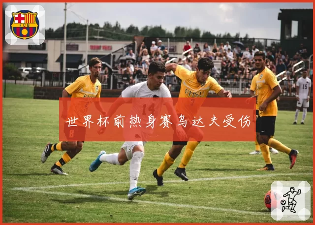 世界杯前热身赛乌达夫受伤