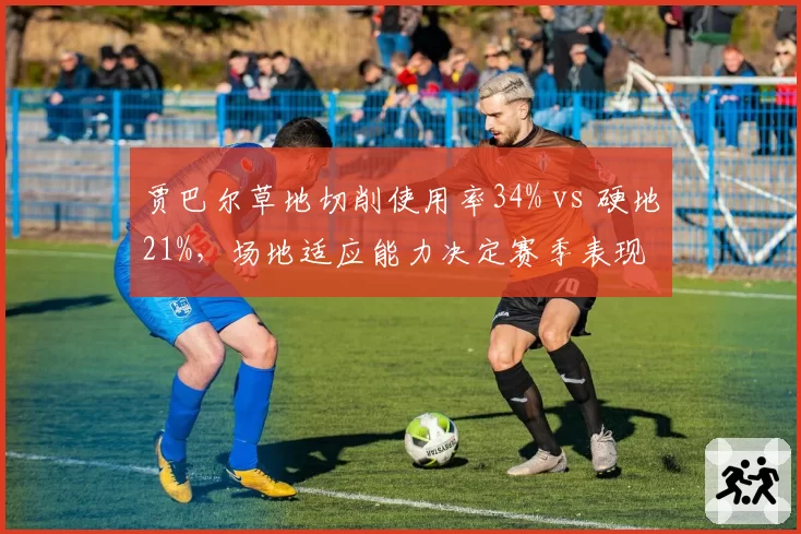贾巴尔草地切削使用率34% vs 硬地21%，场地适应能力决定赛季表现