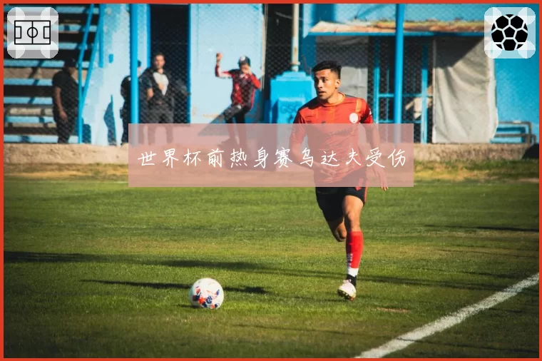 世界杯前热身赛乌达夫受伤